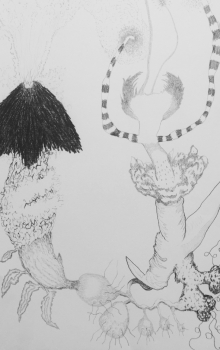 gesteblume
