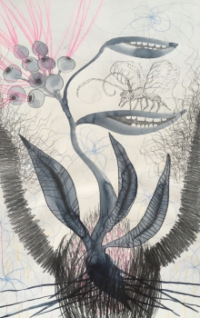 maulblume